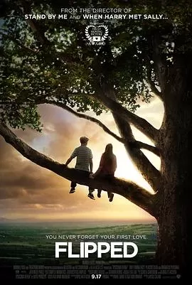 怦然心动(国语)海报