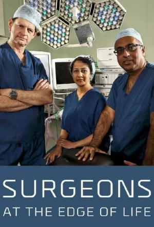 外科医生:生命边缘第六季海报