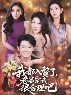 我都入赘了,老婆宠我很合理吧海报