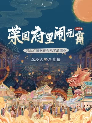 2024河北广播电视台元宵游园会荣国府里闹元宵海报