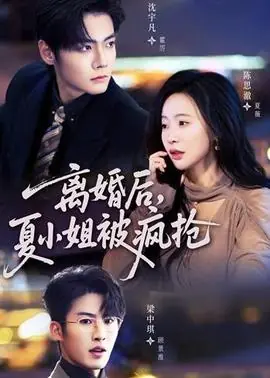 离婚后,夏小姐被疯抢海报