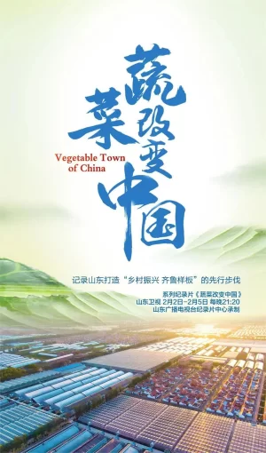 蔬菜改变中国海报