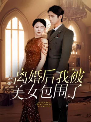 离婚后,我被美女包围了海报