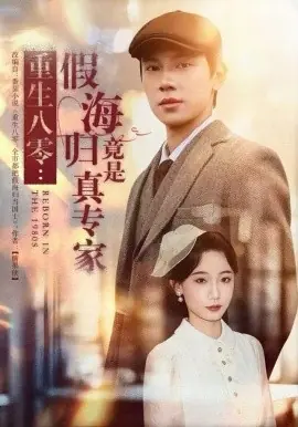 重生八零:假海归竟是真专家海报
