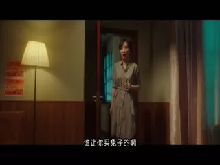 我家来了只兔子海报