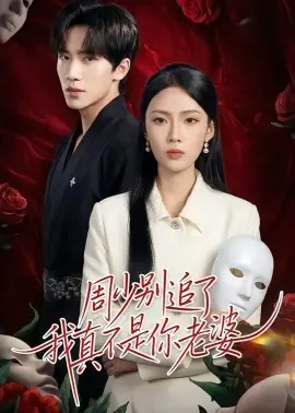 周少别追了我真不是你老婆海报