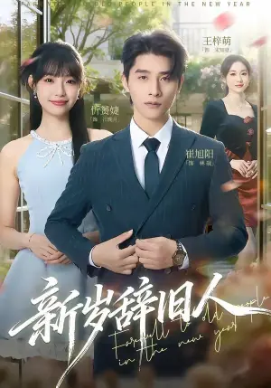 新岁辞旧人海报