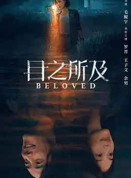 目之所及海报