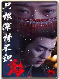 只恨深情不识鸢海报
