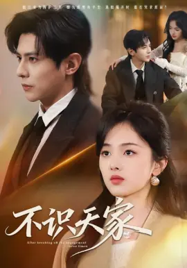 不识天家海报