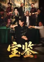 宝鉴海报