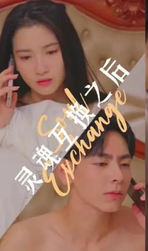 灵魂互换之后海报