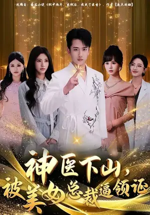 神医下山,被美女总裁逼领证海报