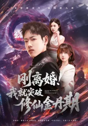 刚离婚!我就突破修仙金丹期海报