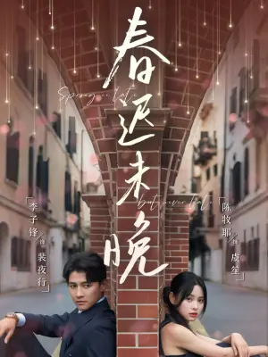 春迟未晚海报