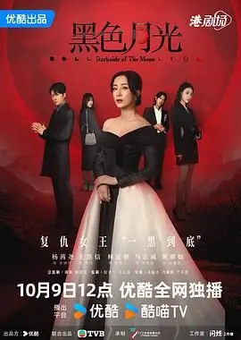 黑色月光(国语)海报
