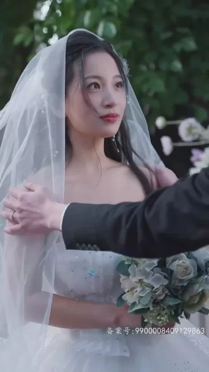 总裁夫人来打工海报