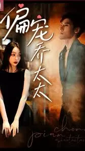 偏宠乔太太海报