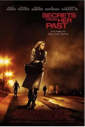 女人曾经的秘密海报