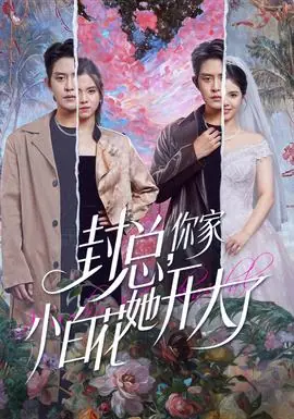 封总,你家小白花她开大了海报