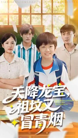 天降龙宝,祖坟又冒青烟了海报