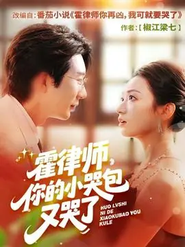 霍律师你的小哭包又哭了海报