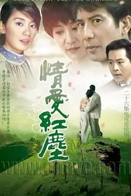 情爱红尘海报