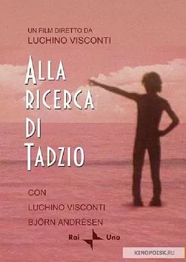 寻找塔奇奥海报