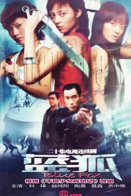蓝狐海报