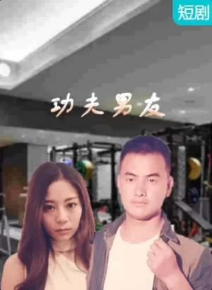 功夫男友海报