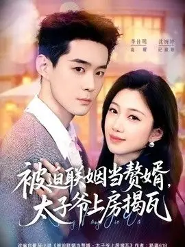 被迫联姻当赘婿,太子爷上房揭瓦海报