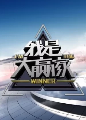 我是大赢家2024海报