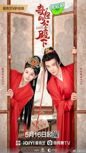 奇怪的公主殿下海报