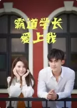 霸道学长爱上我海报