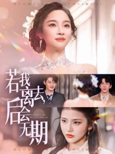 若我离去,后会无期海报