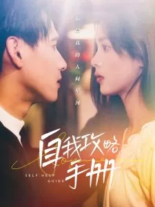 自我攻略手册海报