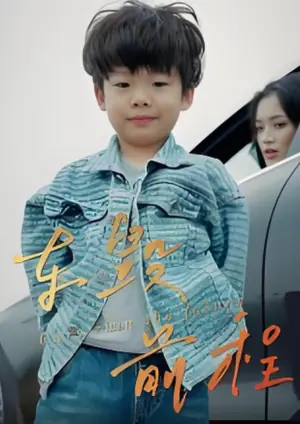 车毁前程海报