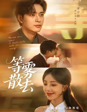 雾散情归处海报