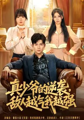 真少爷的逆袭,敌人越气我越强海报
