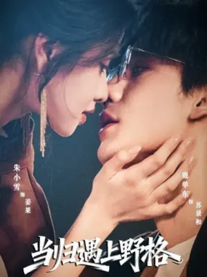 当归遇上野格海报