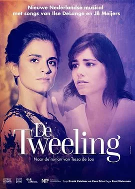 烽火孪生泪海报