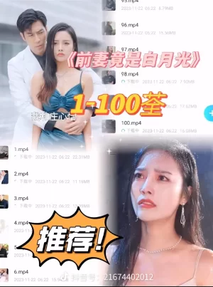 前妻竟是白月光海报