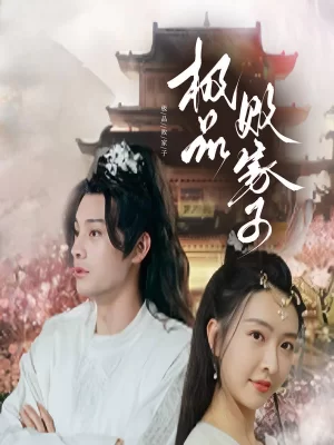 极品败家子海报