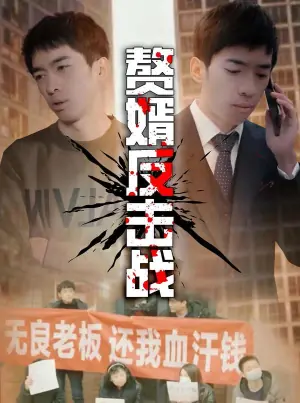 赘婿反击战海报