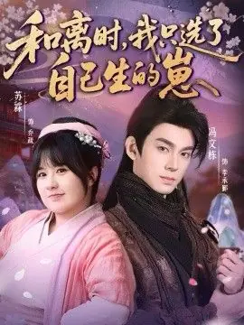 和离时,我只选了自己生的崽海报