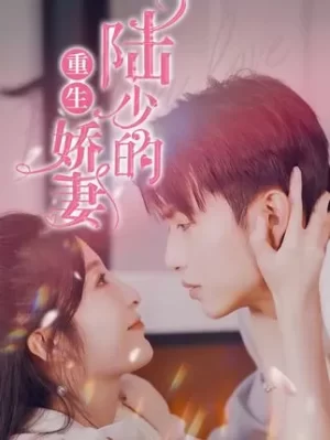 陆少的重生娇妻海报