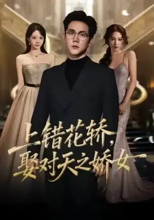 上错花轿,娶对天之娇女海报