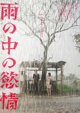 雨中的秋城海报