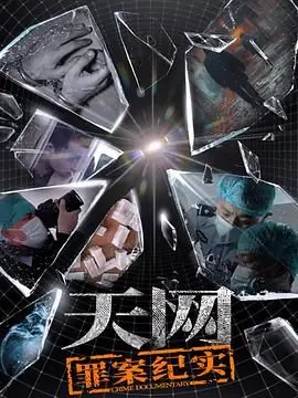 天网:罪案纪实海报