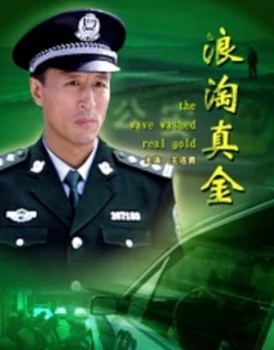 浪淘真金海报